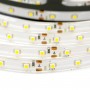 Світлодіодна стрічка B-LED 3528-60 WW IP65 теплий білий, герметична, 1м - в інтернет-магазині