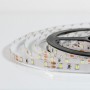 Светодиодная лента B-LED 3528-60 W белый, негерметичная, 1м - магазин светодиодной LED продукции