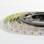 Светодиодная лента B-LED 5630-60 WW Premium теплый белый, негерметичная, 1м - в Украине