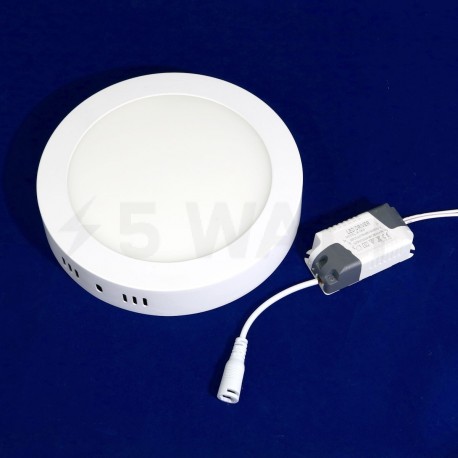 Світильник світлодіодний Biom W-R13 W 12Вт накладий круглий білий - недорого