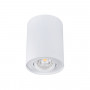 Точечный светильник KANLUX Bord DLP-50-W (22551) - купить