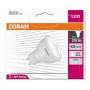 LED лампа OSRAM LED Star GU10 3,5W 4000K 230V (4052899944220) - недорого