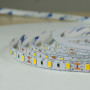 Светодиодная лента BIOM Professional G.2 5630-60 W белый, негерметичная, 1м - в Украине