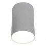 Точечный светильник NOWODVORSKI Point Plexi Silver 6531 - купить