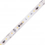 LED лента COLORS 2835-52-220V-IP65 6W 450Lm 2850K 25м (H852-220V-12mm-WW) - купить