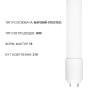 Світлодіодна лампа Biom T8-GL-1200-16W NW 4200К G13 скло матове