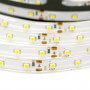 Світлодіодна стрічка B-LED 3528-60 W IP65 біла, герметична, 1м
