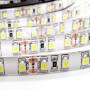 Світлодіодна стрічка B-LED 3528-120 W IP65 біла, герметична, 1м